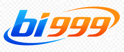 bi999 logo